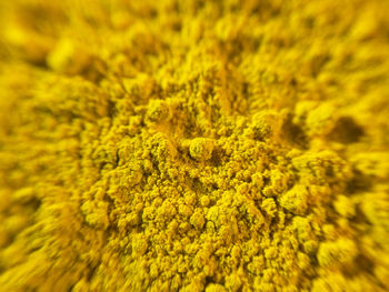 Full frame shot of yellow