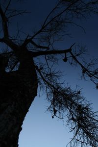 Low angle view of bare tree against clear blue sky