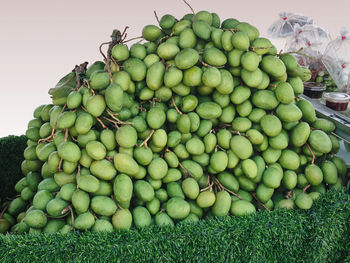 Pile of fresh green mango fruits for sale isolated on gradient background