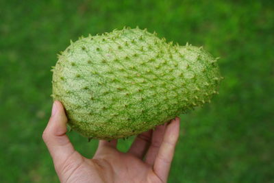 Close-up of hand holding fruit