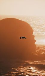 Bird flying over sea against sky