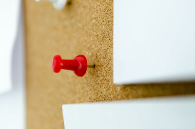 Close-up of red thumbtack