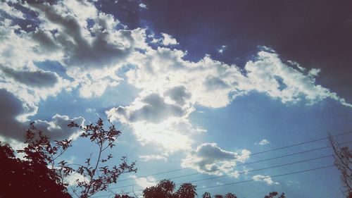 Low angle view of trees against cloudy sky