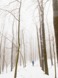 Boy walking in frozen snowy countryside. winter landscape with forest, trees covered with snow, fog
