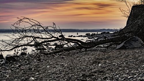 Scenic view of sea at sunset