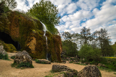 View of trees on rocks
