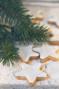 Close-up of christmas tree on table