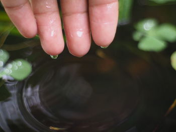 High angle view of person hand in water