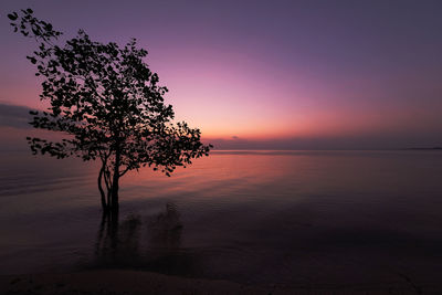 Silhouette tree by sea against sky during sunset