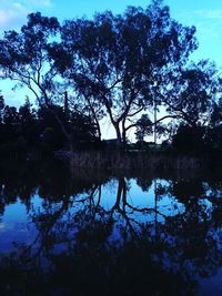Reflection of trees in lake
