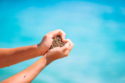 Cropped hand of woman holding seashell against blue sky