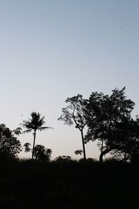 Trees on landscape against clear sky