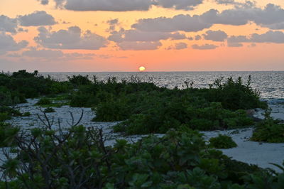 Scenic view of sea against sky during sunset