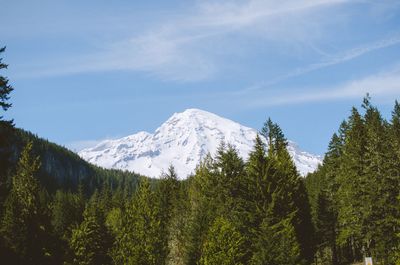 Scenic view of trees and mountains against sky