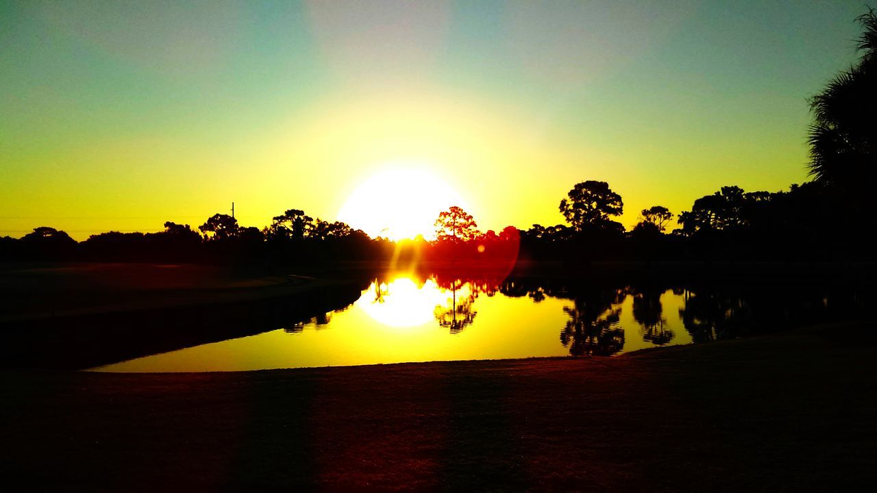 SUN SHINING THROUGH TREES AT SUNSET