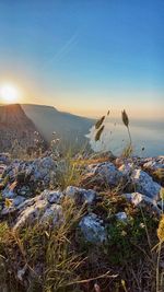 Scenic view of land against clear sky during sunset