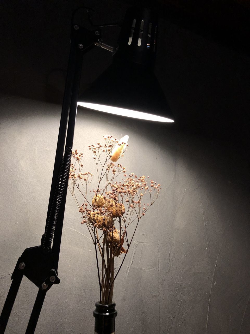 HIGH ANGLE VIEW OF PLANT IN VASE ON TABLE