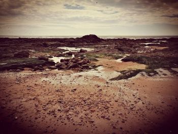 Scenic view of beach against sky