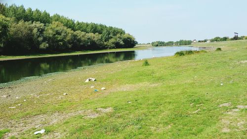 Scenic view of lake by trees against sky