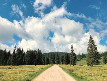 Road amidst trees against sky