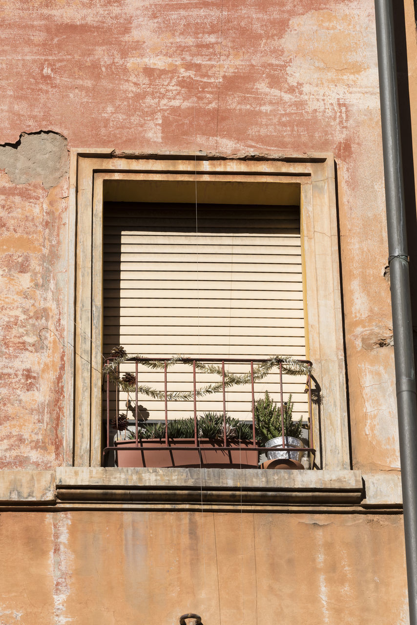 WINDOW OF BUILDING