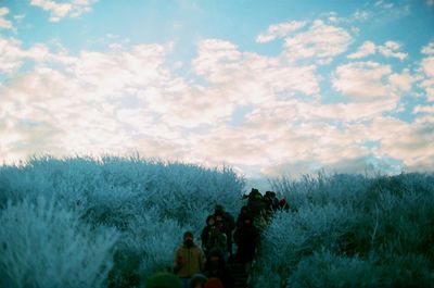 Group of people on plants against the sky