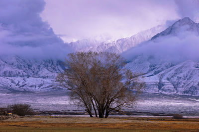 landscape