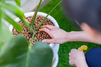 Midsection of man holding leaf