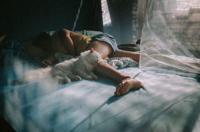 Man sleeping with cat on bed at home