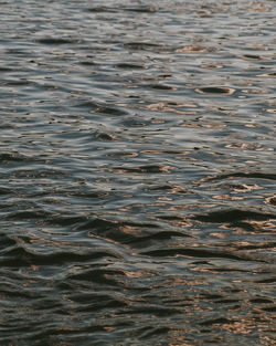 Full frame shot of rippled water