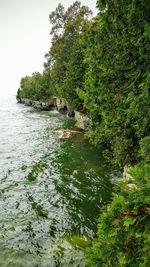 Scenic view of calm sea against sky