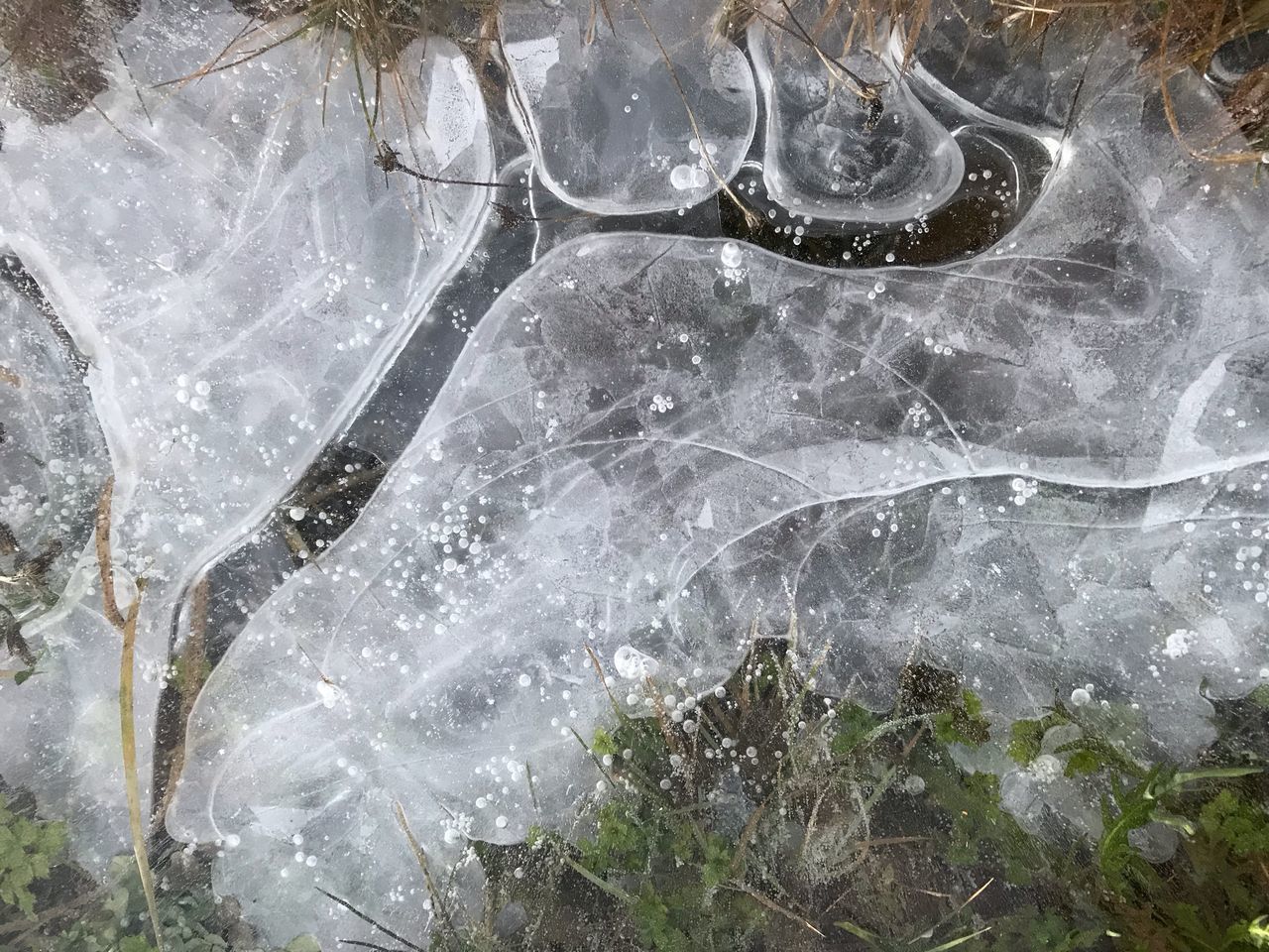 CLOSE-UP OF ICICLES ON ROCK