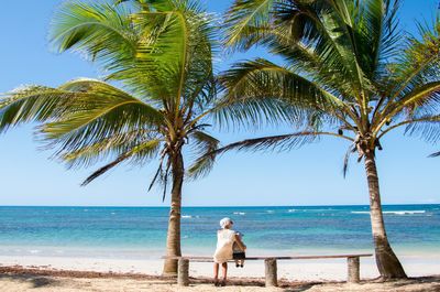 Rear view of palm tree on beach against sky