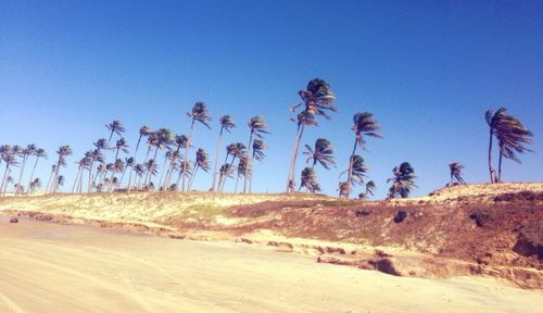 Scenic view of landscape against clear blue sky