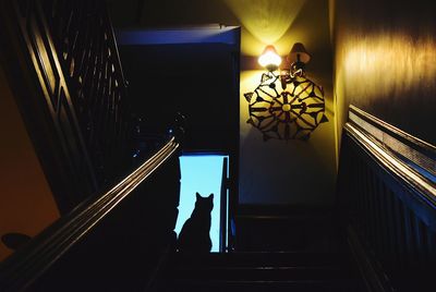 Low angle view of illuminated lamp at night