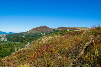 Hiking trail in mountain in auvergne, france