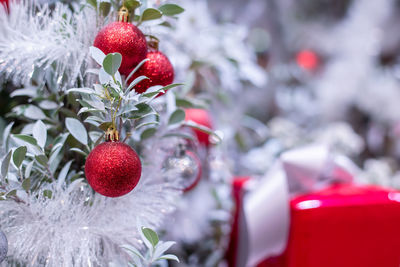 Close-up of christmas tree