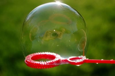 Close-up of water drop on leaf