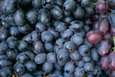 Full frame shot of blueberries