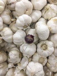 Full frame shot of onions for sale in market
