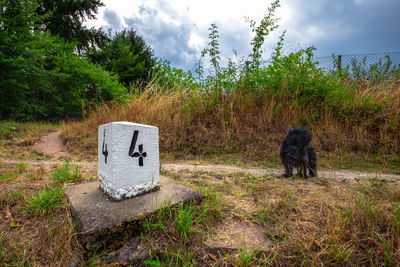 Information sign on field against sky