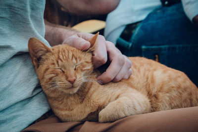 Midsection of man with cat relaxing on bed