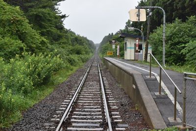 Railway tracks amidst plants against sky