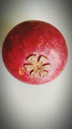 Close-up of red fruit over white background