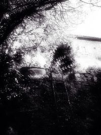 Close-up of glass window against trees