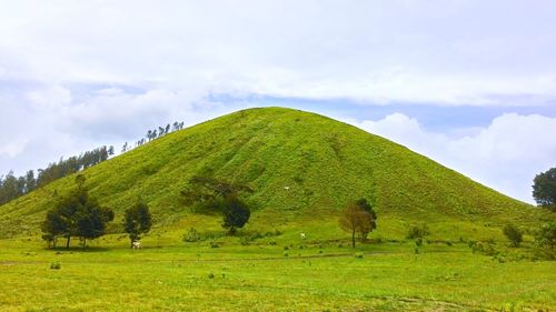 Scenic view of green landscape against sky