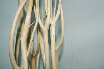 Close-up of metallic structure against wall