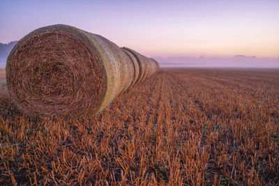 Straw bales in a row