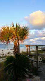 Coconut palm tree by sea against sky