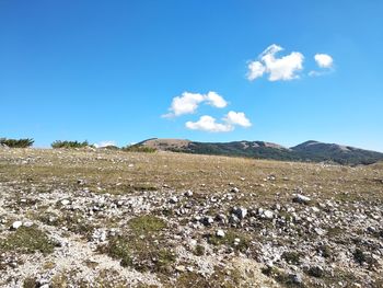 Scenic view of field against blue sky